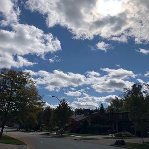 Meet your Posher, 영신